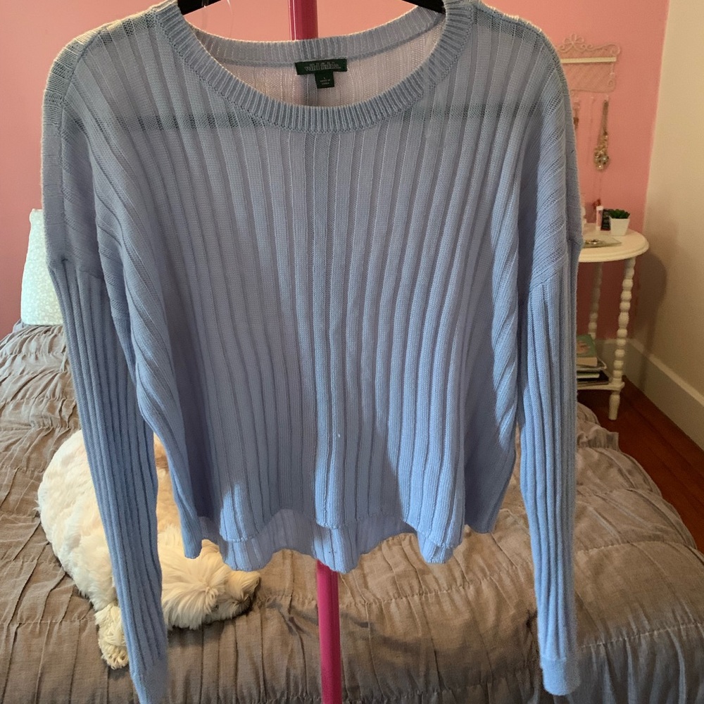 Wild Fable Blue Sweater